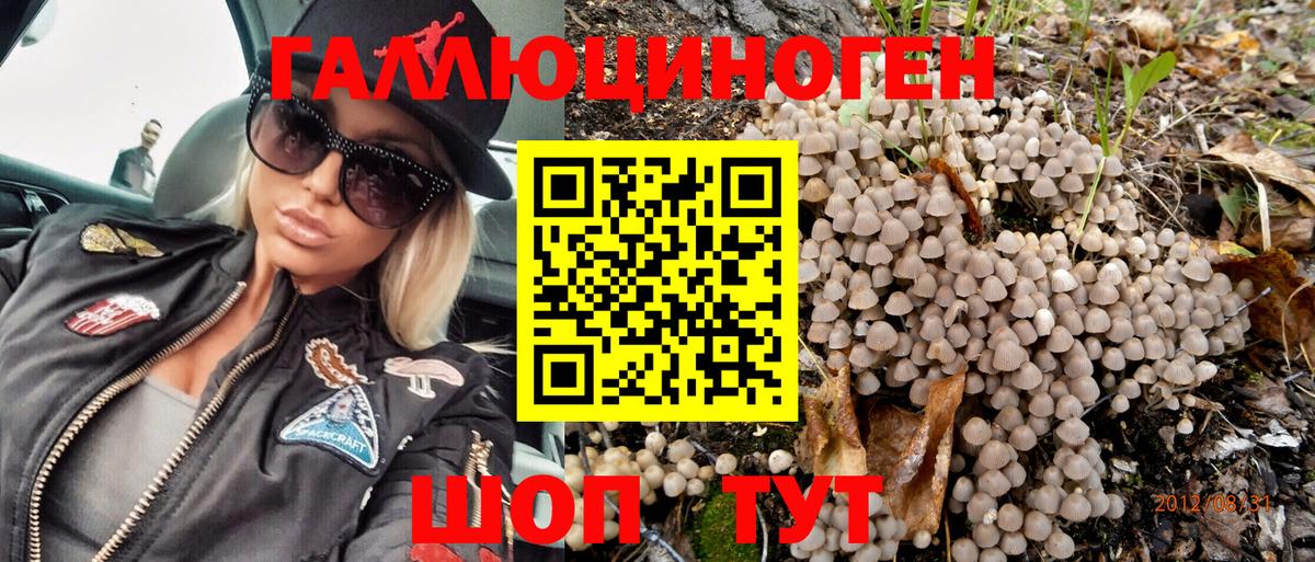 Камень-на-Оби  где найти наркотики  Вход с VPN  Галлюциногенные грибы Magic Shrooms  Псилоцибиновые грибы Psilocybine cubensis 