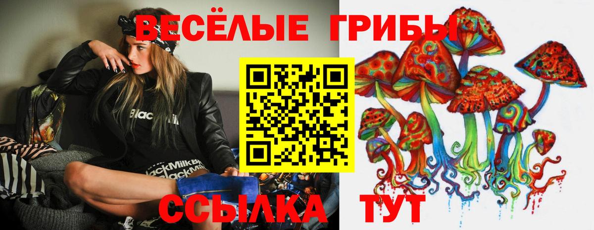 Псилоцибиновые грибы Psilocybe Камень-на-Оби
